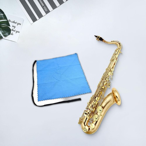 Clarinet cleaner cleaning - cleaner,